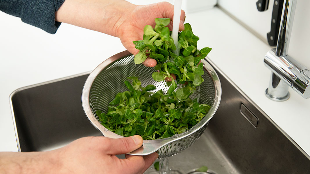 Maggi Kochratgeber Feldsalat vorbereiten