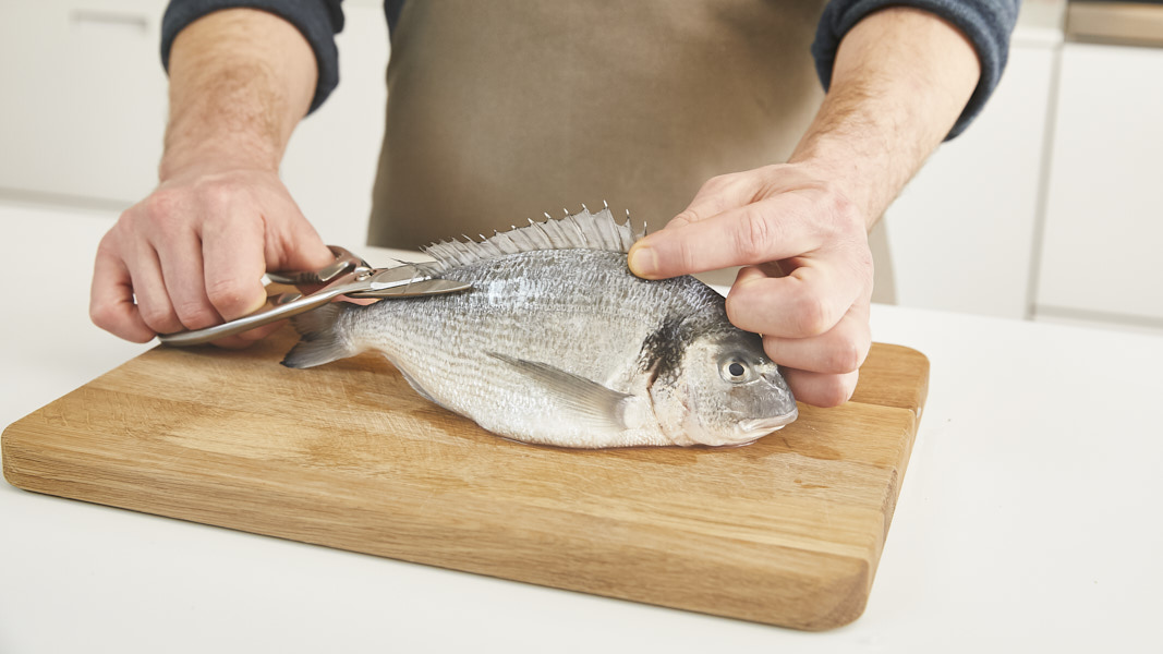 Maggi Kochratgeber frischen Fisch schuppen