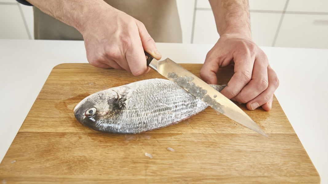 Maggi Kochratgeber frischen Fisch schuppen