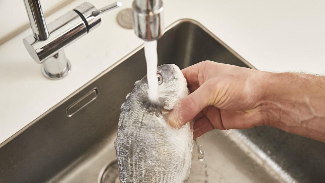 Maggi Kochratgeber frischen Fisch schuppen